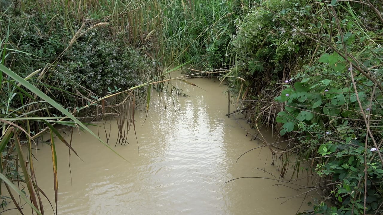 Polluted River Bisi
